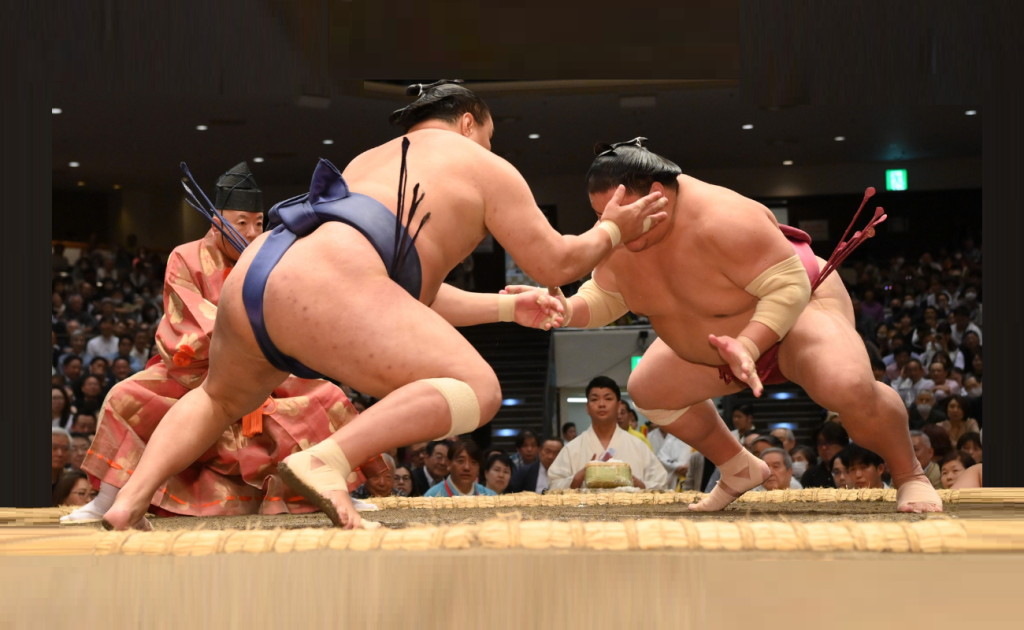 WWE Paychecks to Sumo